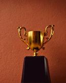 Award given to top quality suppliers by Paragon Relocation